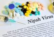 Nipah: el nuevo virus que preocupa a Asia