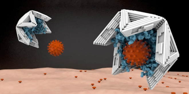 Robots hechos de ADN: la nanotecnología que podría detectar virus y eliminar células cancerosas en el futuro de la medicina