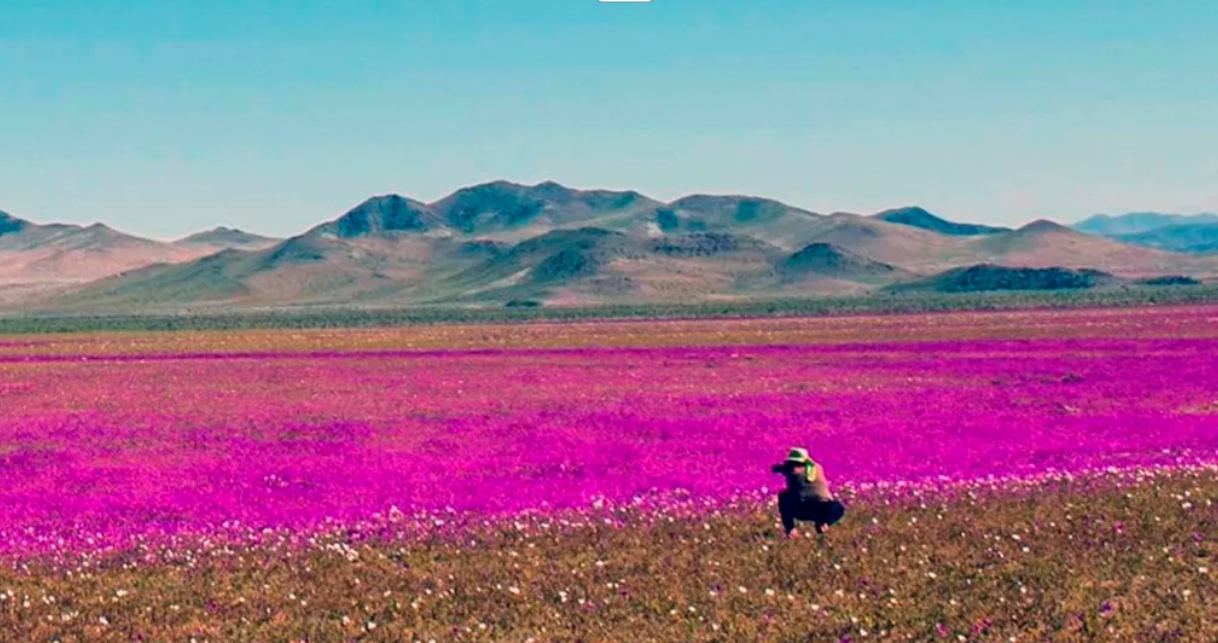 desierto