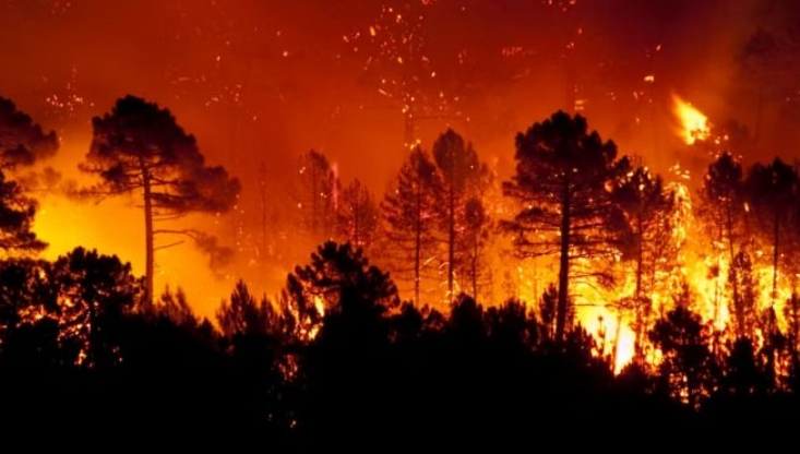 cambio climático