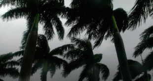 Tormenta tropical