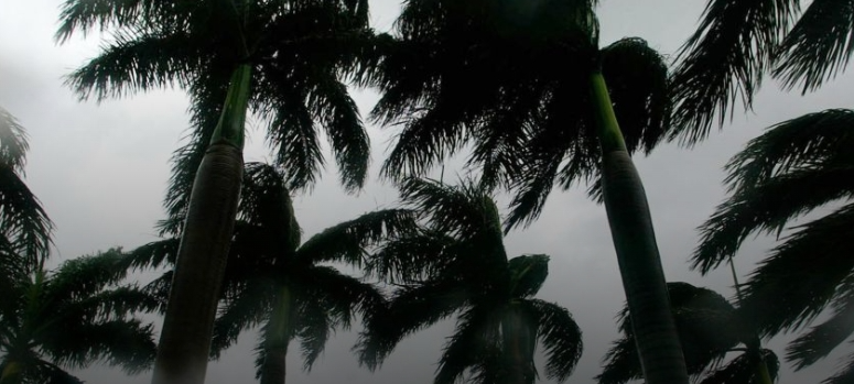 Tormenta tropical