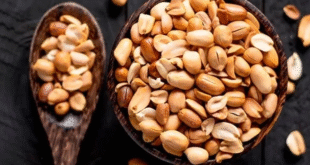 Circuito de Veteranos