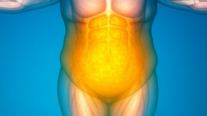 sistema inmunológico