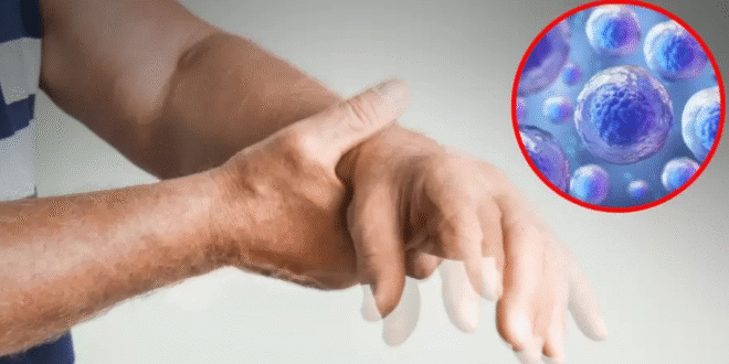 Japón aprueba terapias con células madre para tratar Parkinson y enfermedades cardíacas