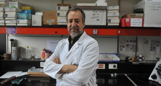 Científicos argentinos logran reprogramar células de la piel para crear neuronas y abren una nueva esperanza en el tratamiento del Parkinson