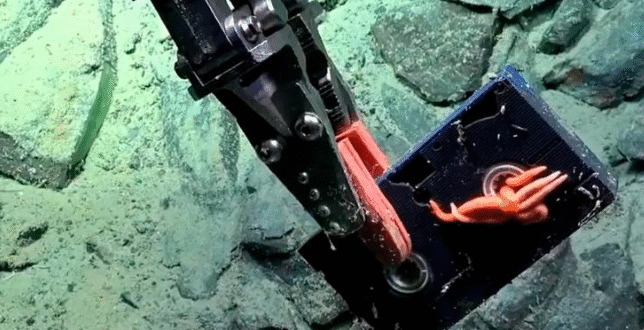 Científicos argentinos encuentran un VHS intacto a 2.600 metros de profundidad en el Atlántico y revelan una inesperada señal de contaminación humana